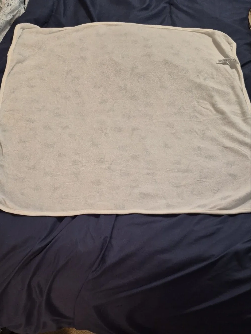 Soft White Baby Blanket with Light Blue Dinosaur Print
